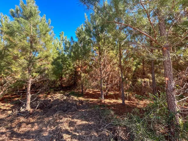 $45,705 | 4 County Road 3121, Long Branch, TX 75669