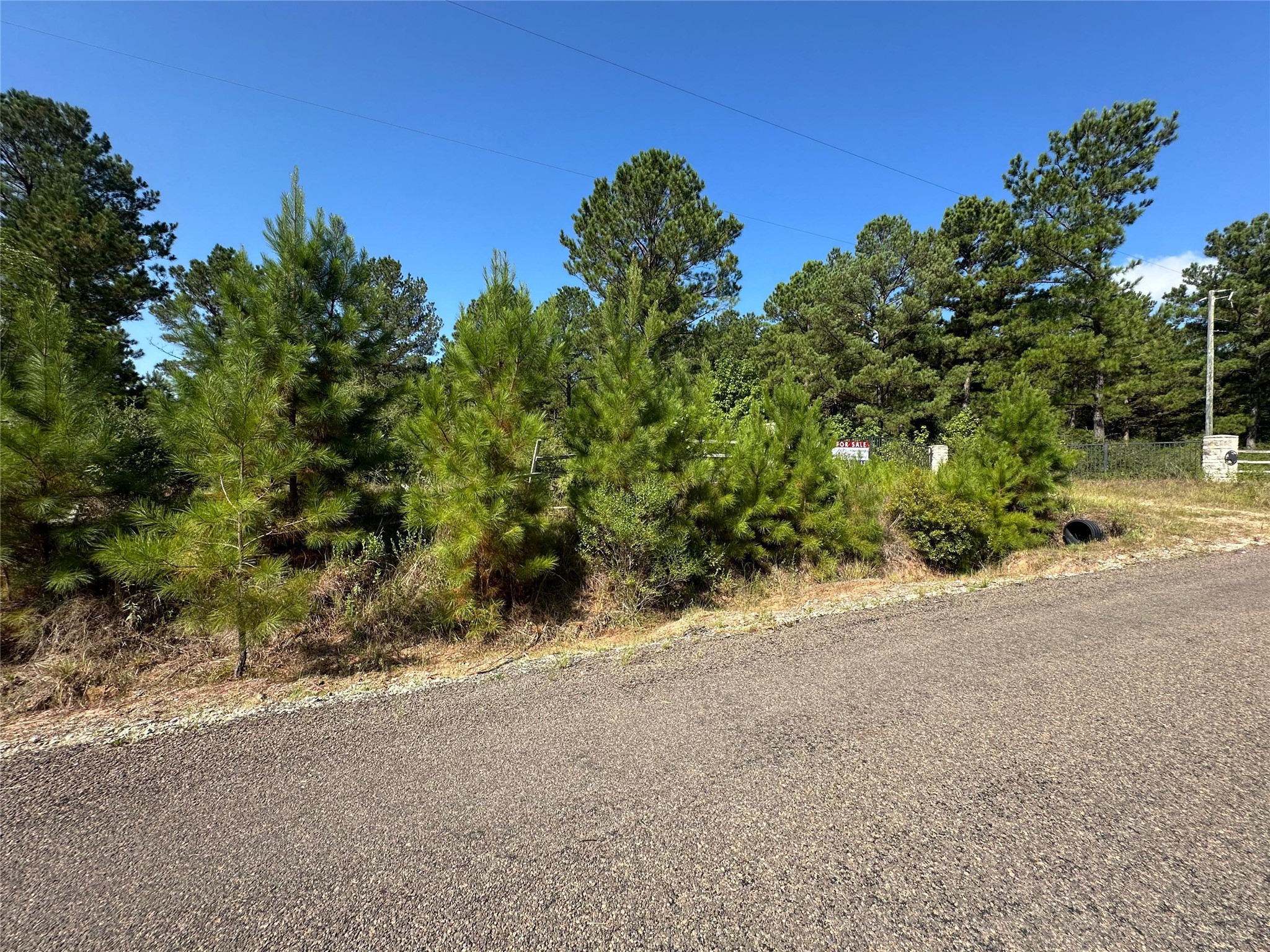 1034 Lloyd Bell Road Trinity, TX 75862 - Photo 9 of 12 Gallery Image 9