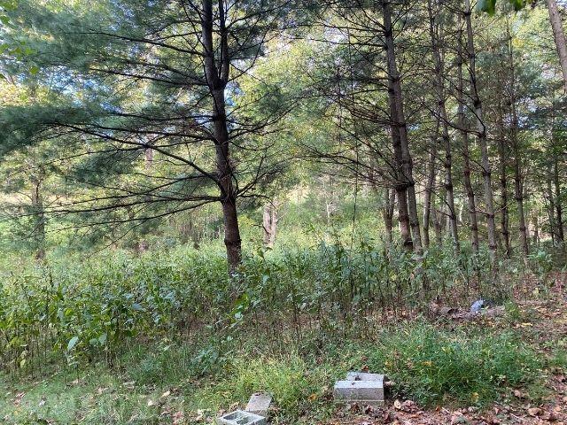 Tbd Pine Run Road Draper, VA 24324 - Photo 2 of 19 Gallery Image 2