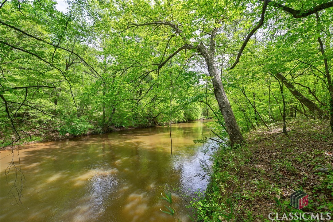 600 Piney Grove Road Carlton, GA 30627 - Photo 45 of 65