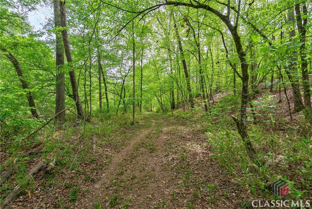 600 Piney Grove Road Carlton, GA 30627 - Photo 46 of 65