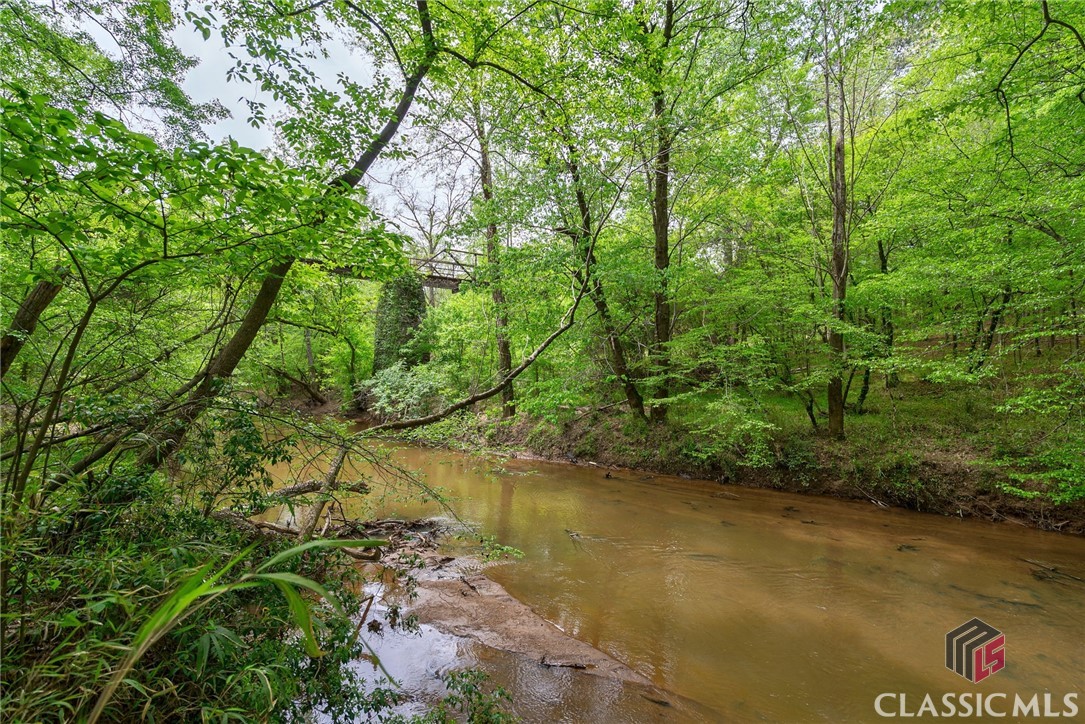 600 Piney Grove Road Carlton, GA 30627 - Photo 47 of 65