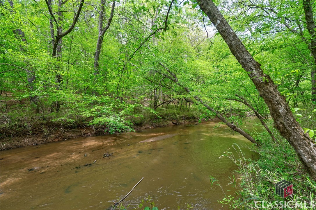 600 Piney Grove Road Carlton, GA 30627 - Photo 48 of 65