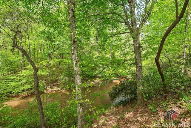 $1,250,000 | 600 Piney Grove Road, Carlton, GA 30627