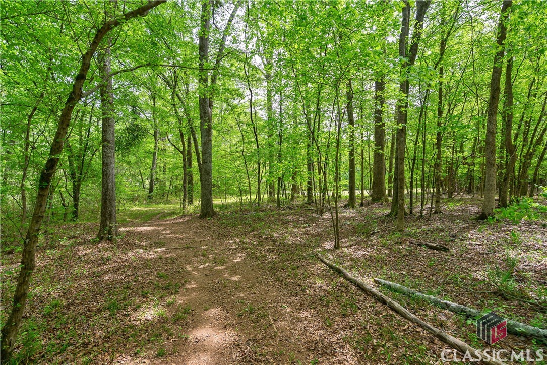 600 Piney Grove Road Carlton, GA 30627 - Photo 50 of 65