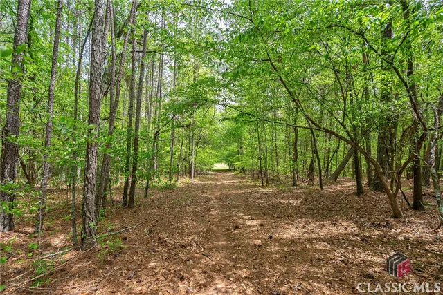 $1,250,000 | 600 Piney Grove Road, Carlton, GA 30627