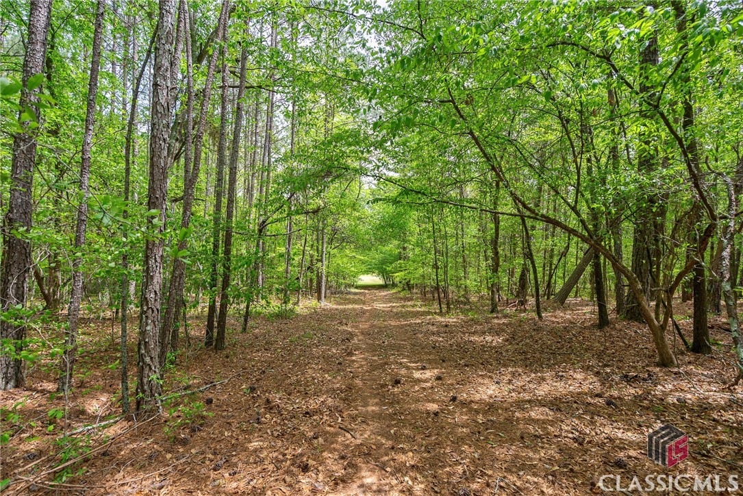 600 Piney Grove Road Carlton, GA 30627 - Photo 53 of 65