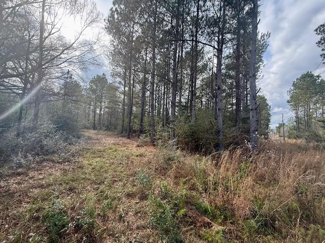 0 Burch Road Mount Hermon, LA 70450 - Photo 11 of 11