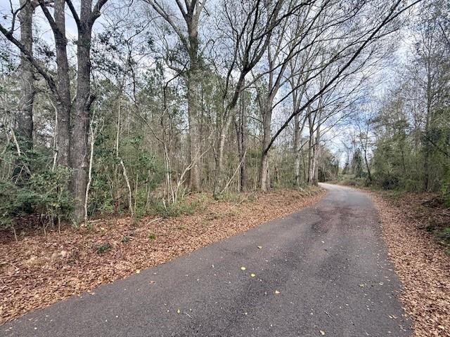 0 Burch Road Mount Hermon, LA 70450 - Photo 2 of 11