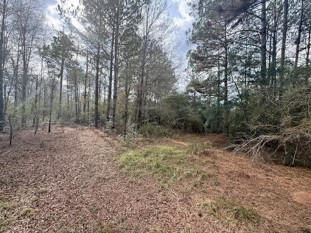 0 Burch Road Mount Hermon, LA 70450 - Photo 4 of 11