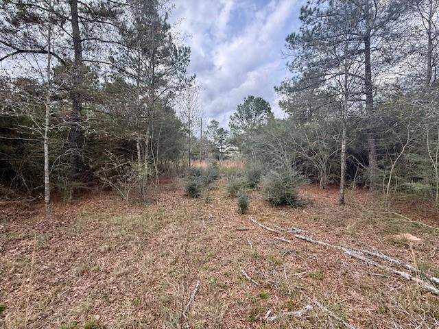 0 Burch Road Mount Hermon, LA 70450 - Photo 5 of 11