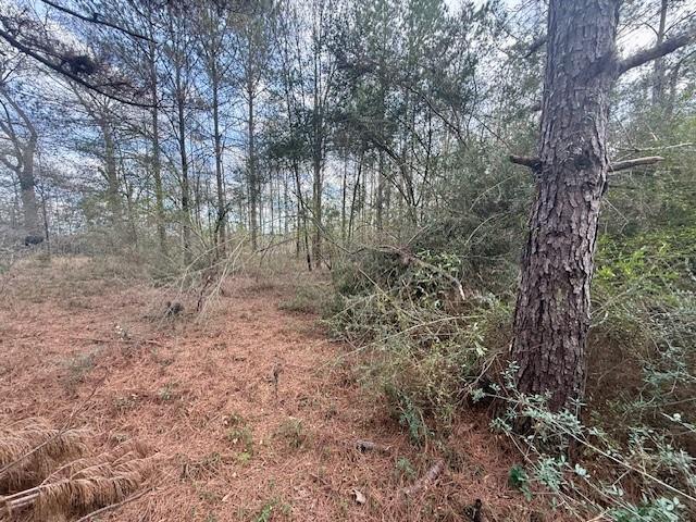 0 Burch Road Mount Hermon, LA 70450 - Photo 6 of 11