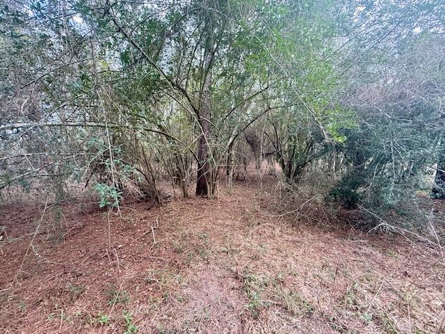 0 Burch Road Mount Hermon, LA 70450 - Photo 7 of 11