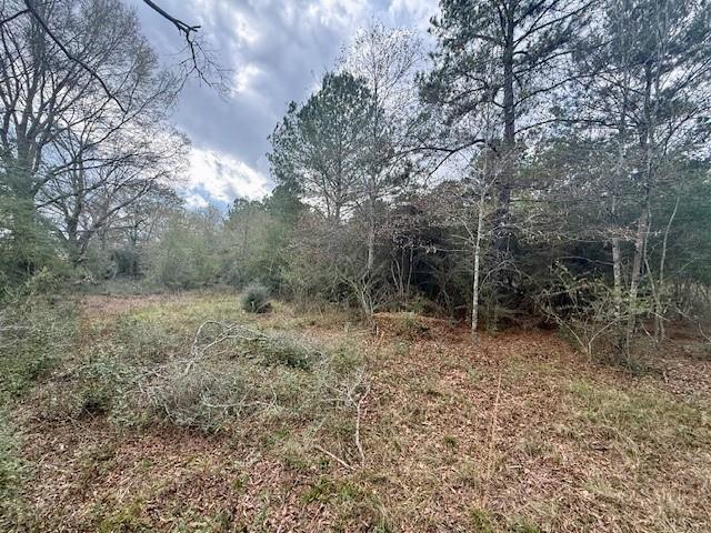 0 Burch Road Mount Hermon, LA 70450 - Photo 8 of 11