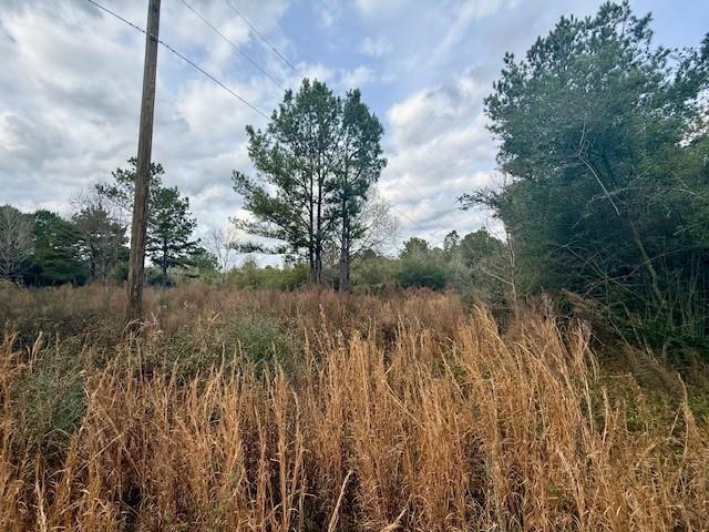 0 Burch Road Mount Hermon, LA 70450 - Photo 9 of 11