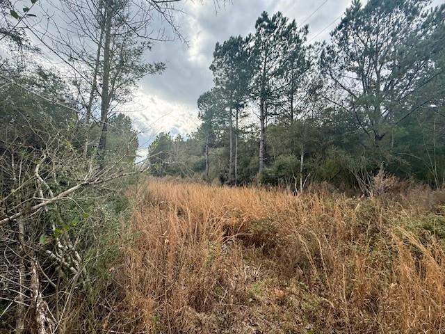 0 Burch Road Mount Hermon, LA 70450 - Photo 10 of 11