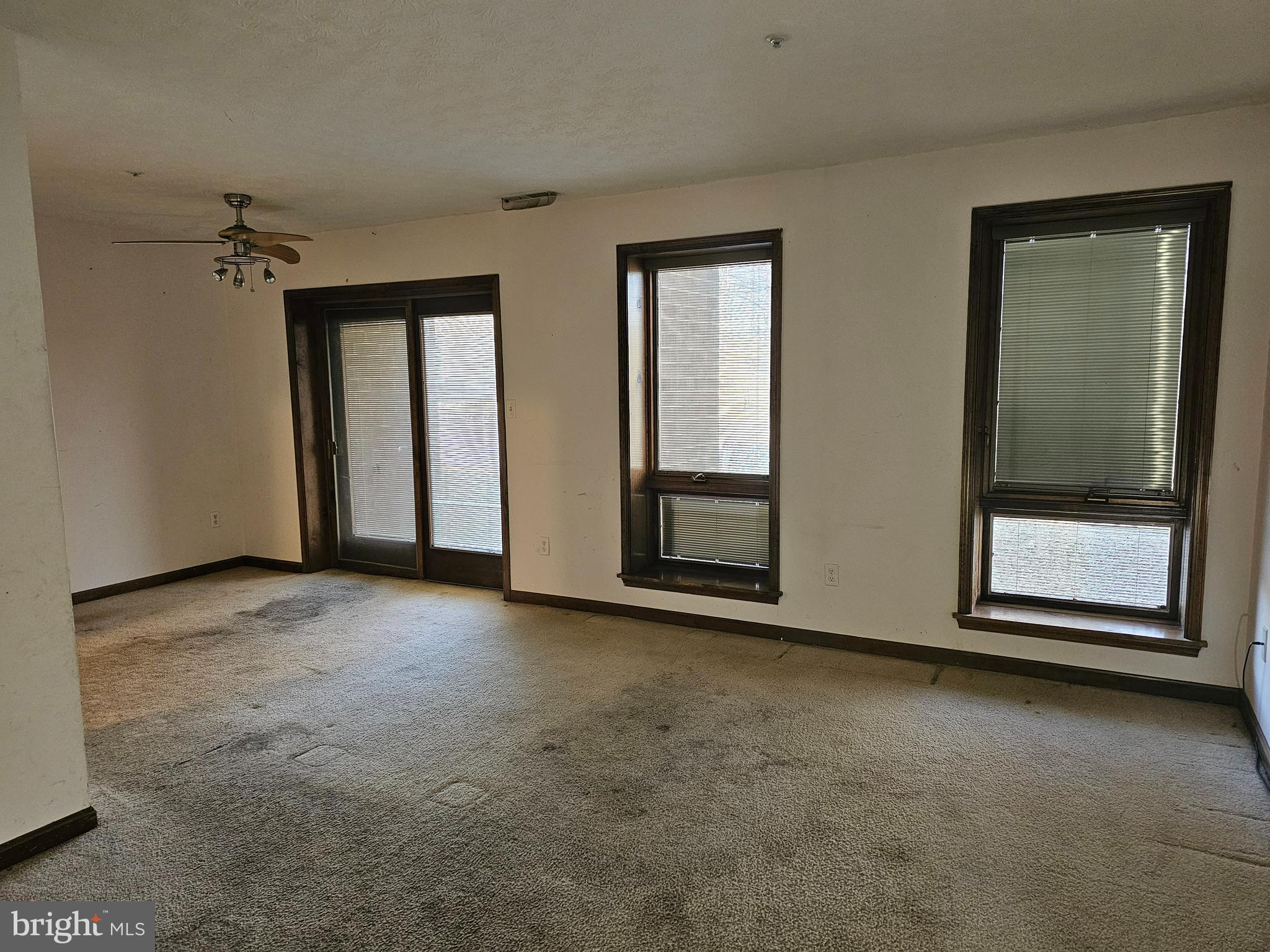 Living / Dining