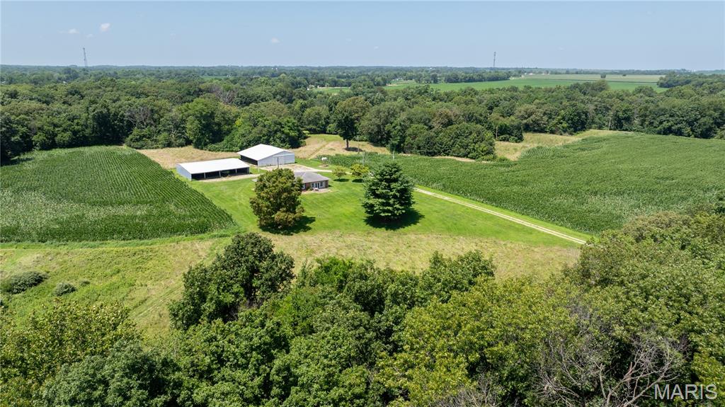 29995 Mitchell Creek Road Jerseyville, IL 62052 - Photo 33 of 41