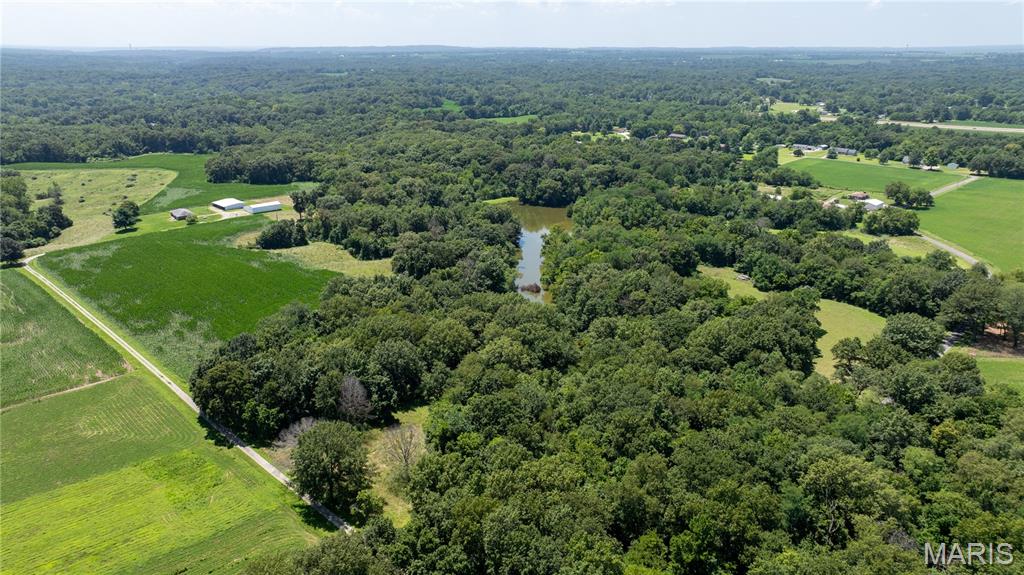 29995 Mitchell Creek Road Jerseyville, IL 62052 - Photo 38 of 41
