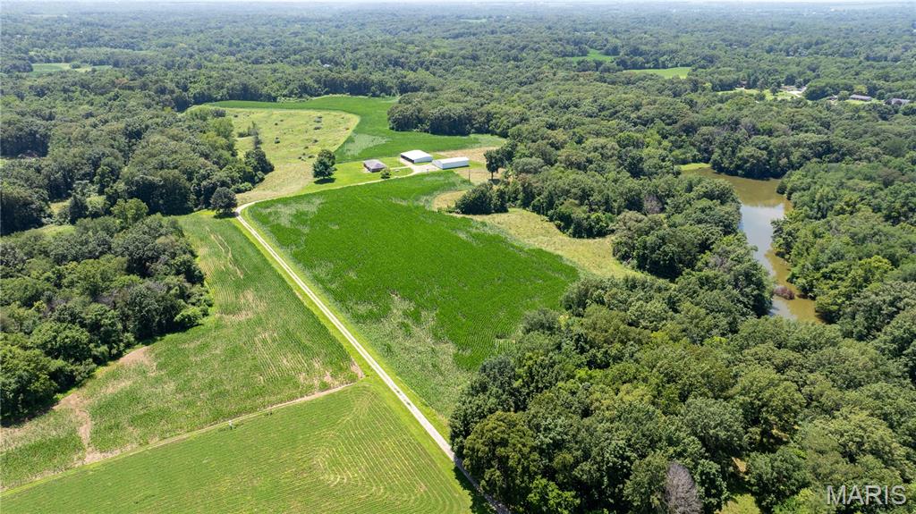 29995 Mitchell Creek Road Jerseyville, IL 62052 - Photo 39 of 41