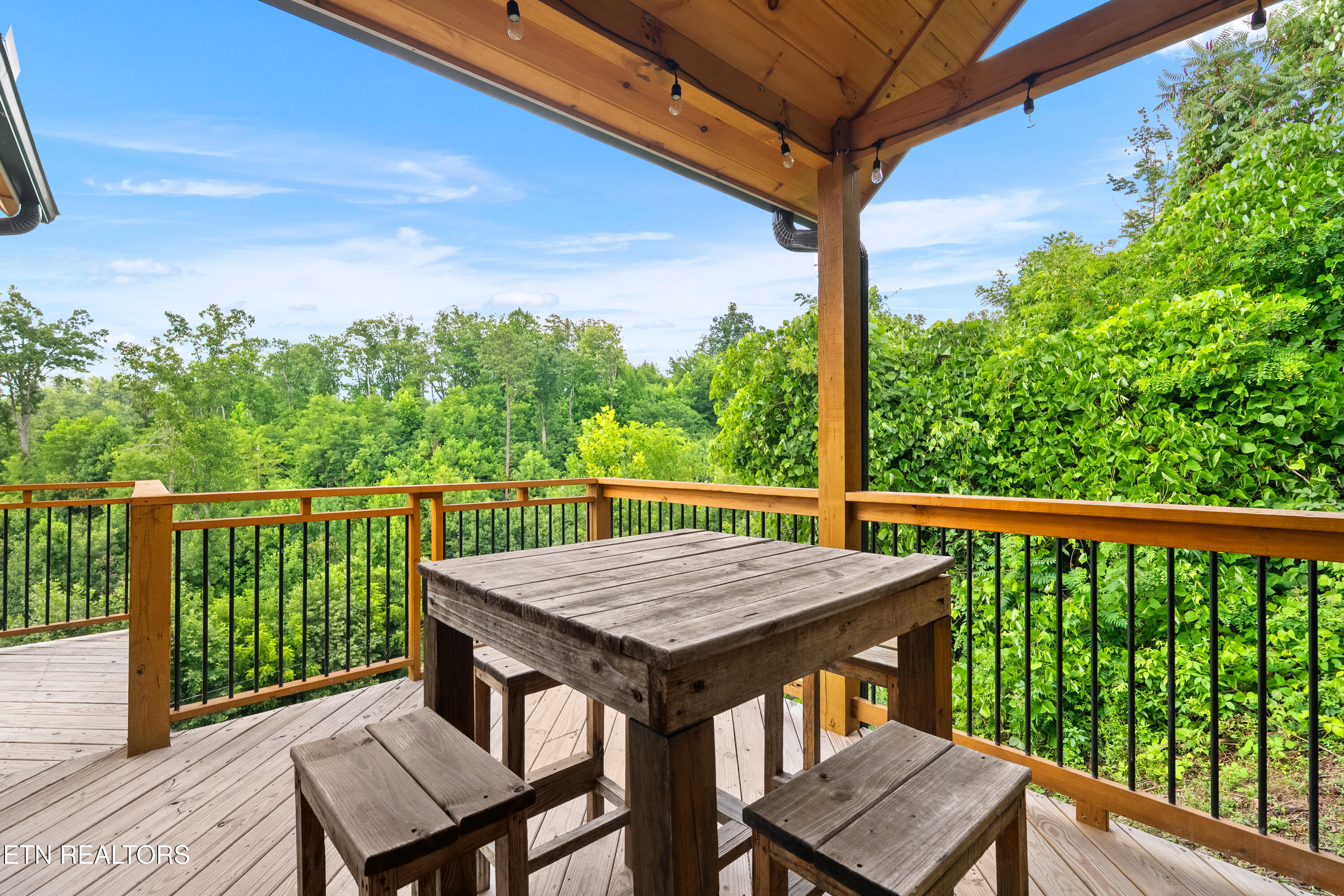 334 Long Hollow Road Sevierville, TN 37876 - Photo 41 of 43 DSC05428