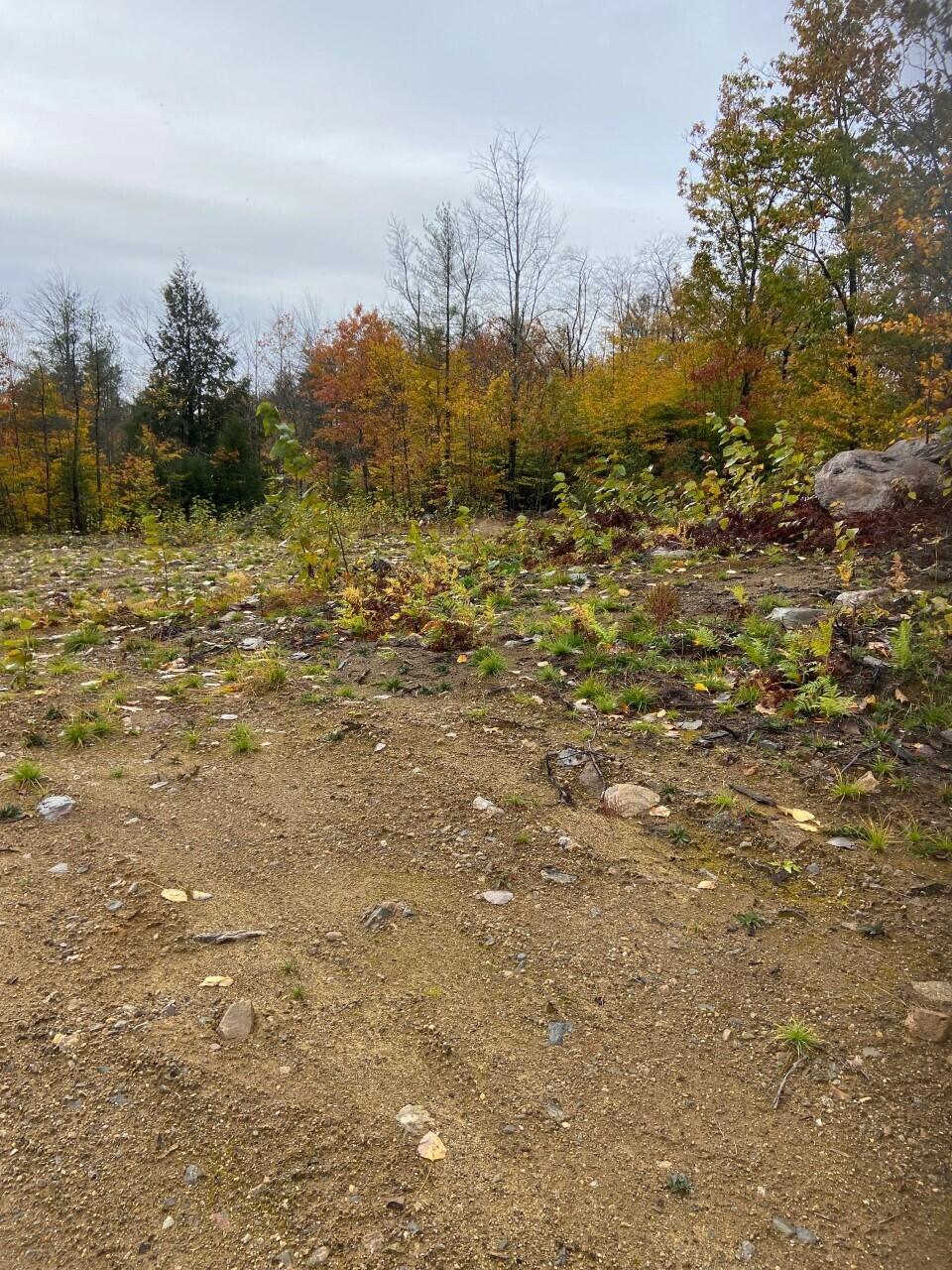 42 Maple Ridge Lane Lebanon, ME 04027 - Photo 11 of 32 Land