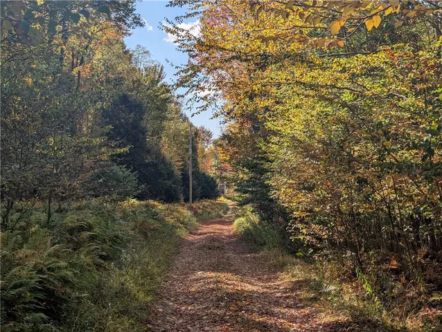 $110,000 | 186 Sprester Road, Cyclone, PA 16726