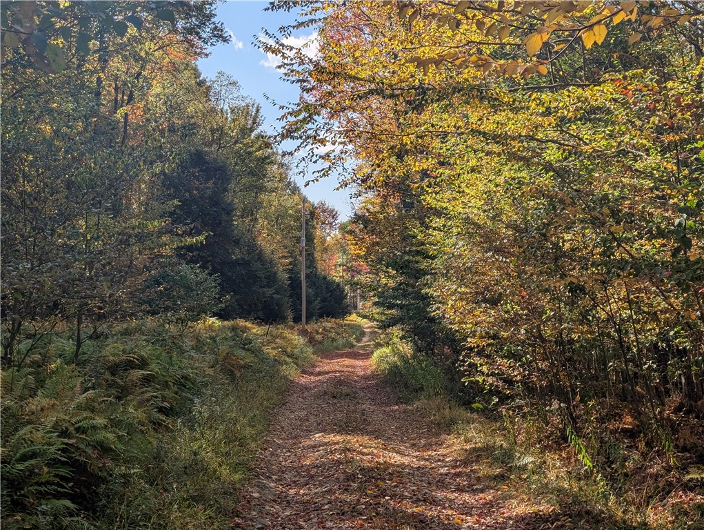 186 Sprester Road Cyclone, PA 16726 - Photo 28 of 28