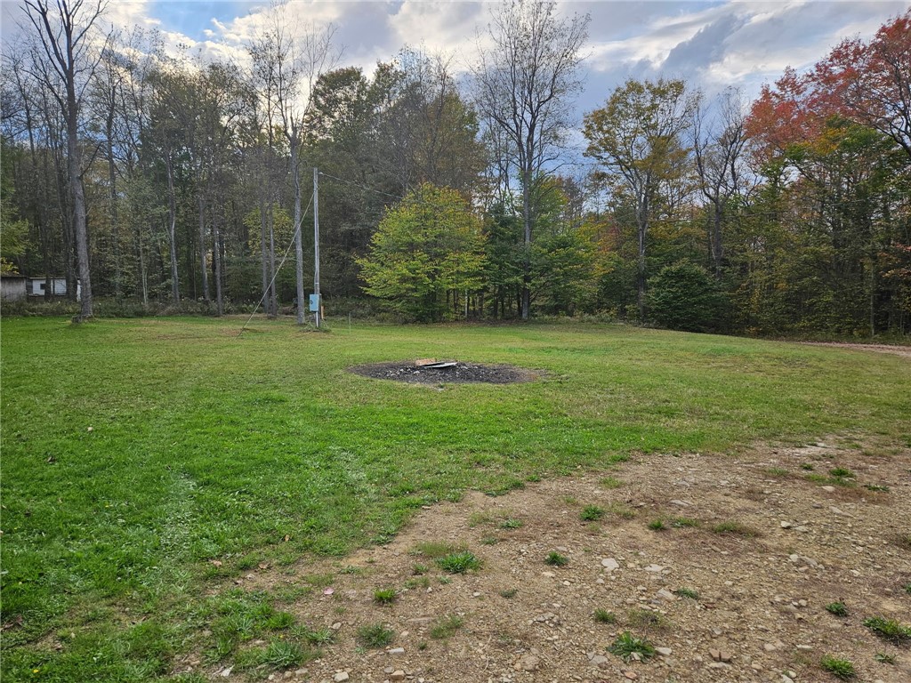 186 Sprester Road Cyclone, PA 16726 - Photo 6 of 28