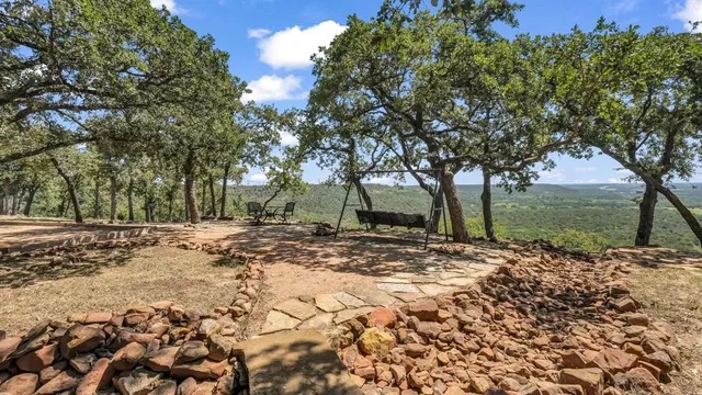 a view of a yard with a tree