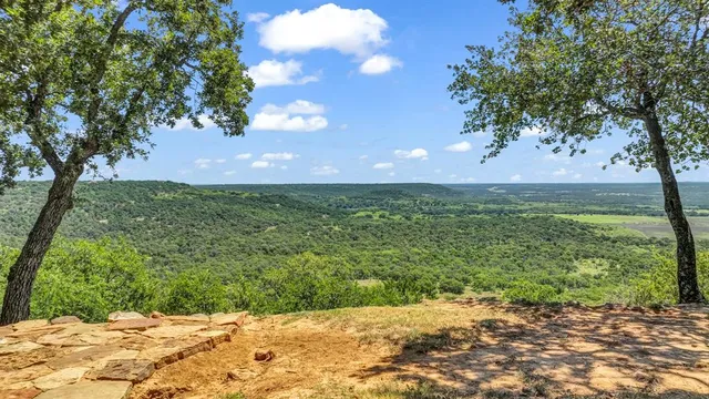 a view of a yard with an trees