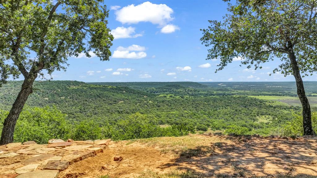 740 Post Oak Road Gordon, TX 76453 - Photo 35 of 40 a view of a yard with an trees