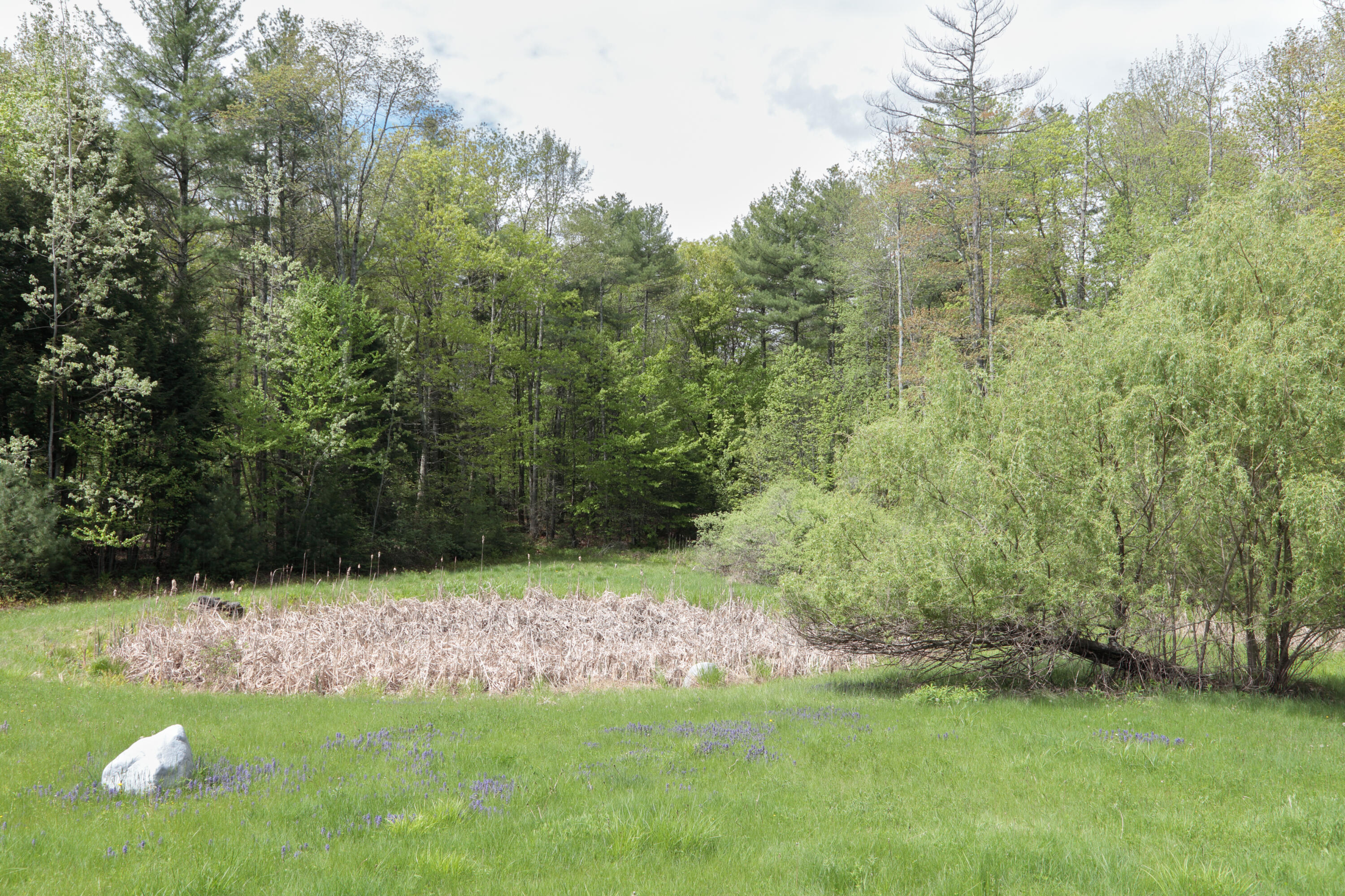 359 Beech Plains Road Buxton, ME 04093 - Photo 37 of 53 4654