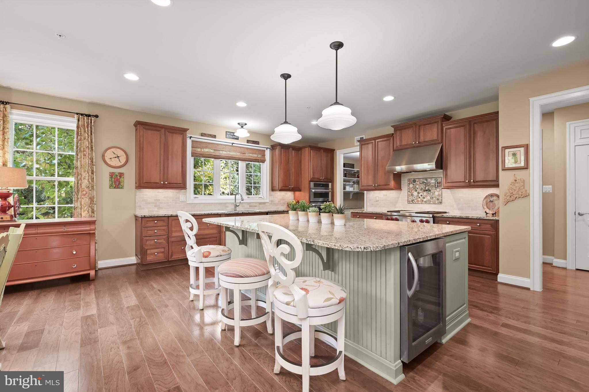 12068 Open Run Road Ellicott City, MD 21042 - Photo 16 of 68 Stunning Kitchen