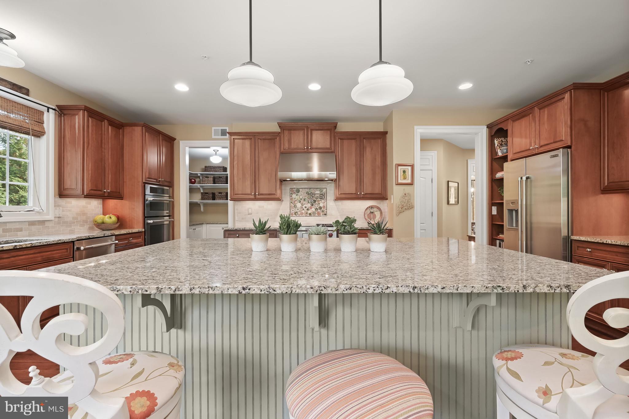 12068 Open Run Road Ellicott City, MD 21042 - Photo 20 of 68 Custom Tiled Backsplash