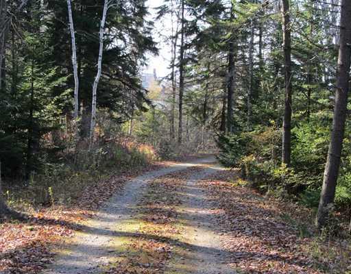 85 Huppers Road Tenants Harbor, ME 04860 - Photo 14 of 24 Other. Private, short driveway off...