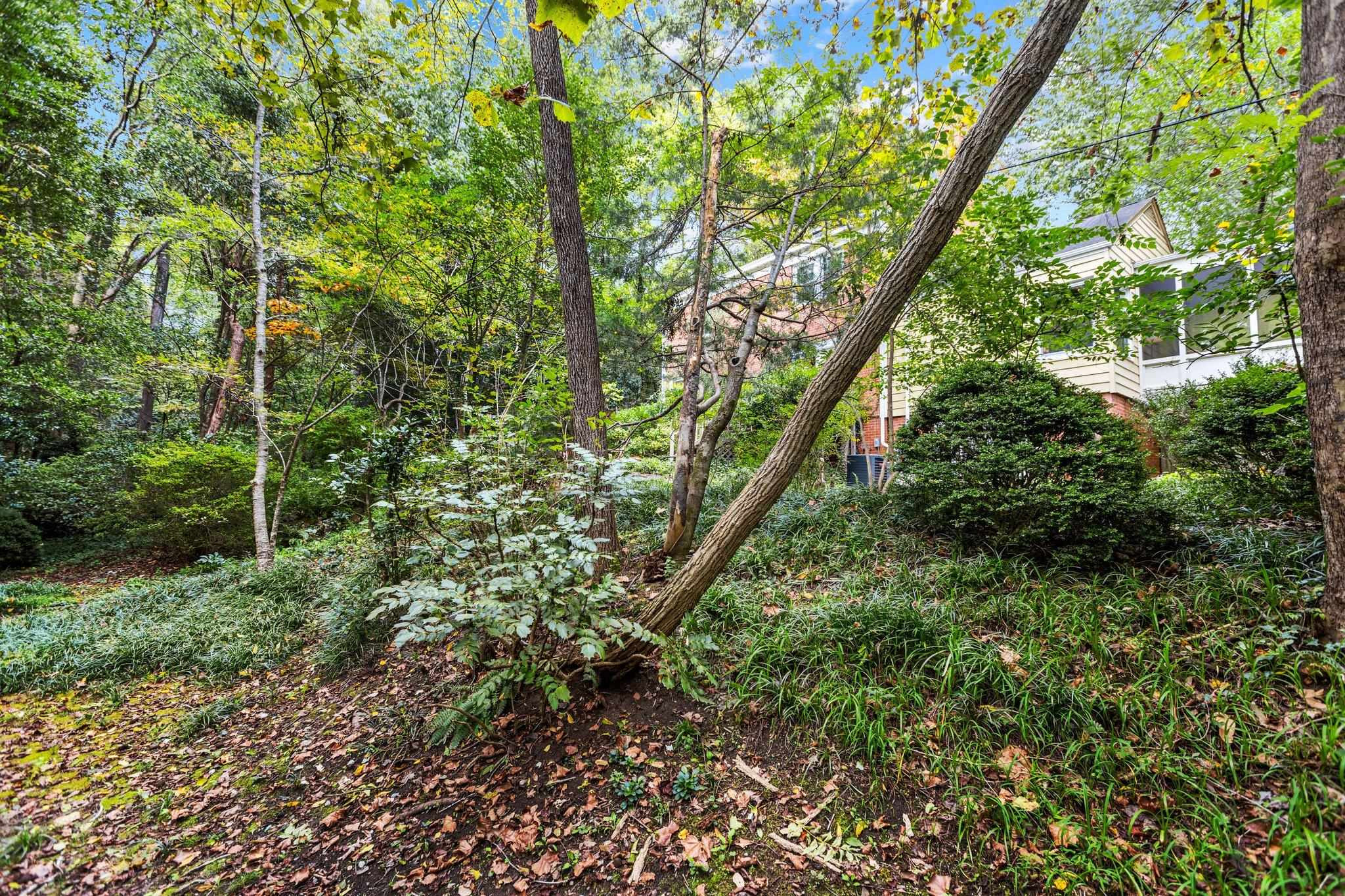 2256 Cranford Road Durham, NC 27705 - Photo 37 of 40 Photo 37