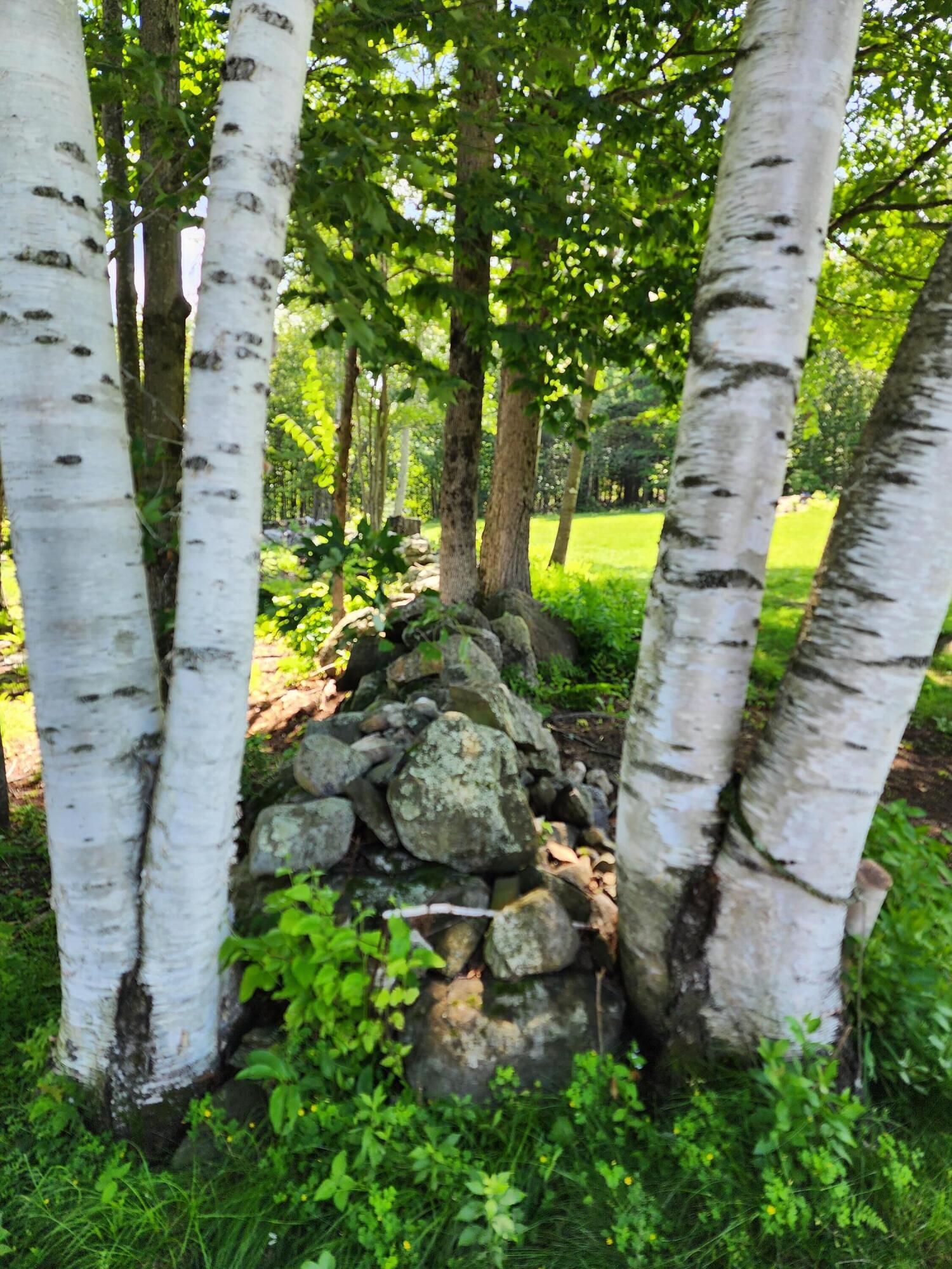 308 Barrows Road Sumner, ME 04292 - Photo 22 of 80 20230810_114028