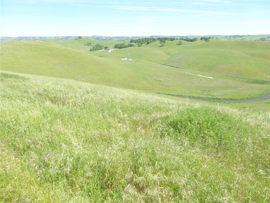 0 Douglas Road San Miguel, CA 93451 - Photo 26 of 51