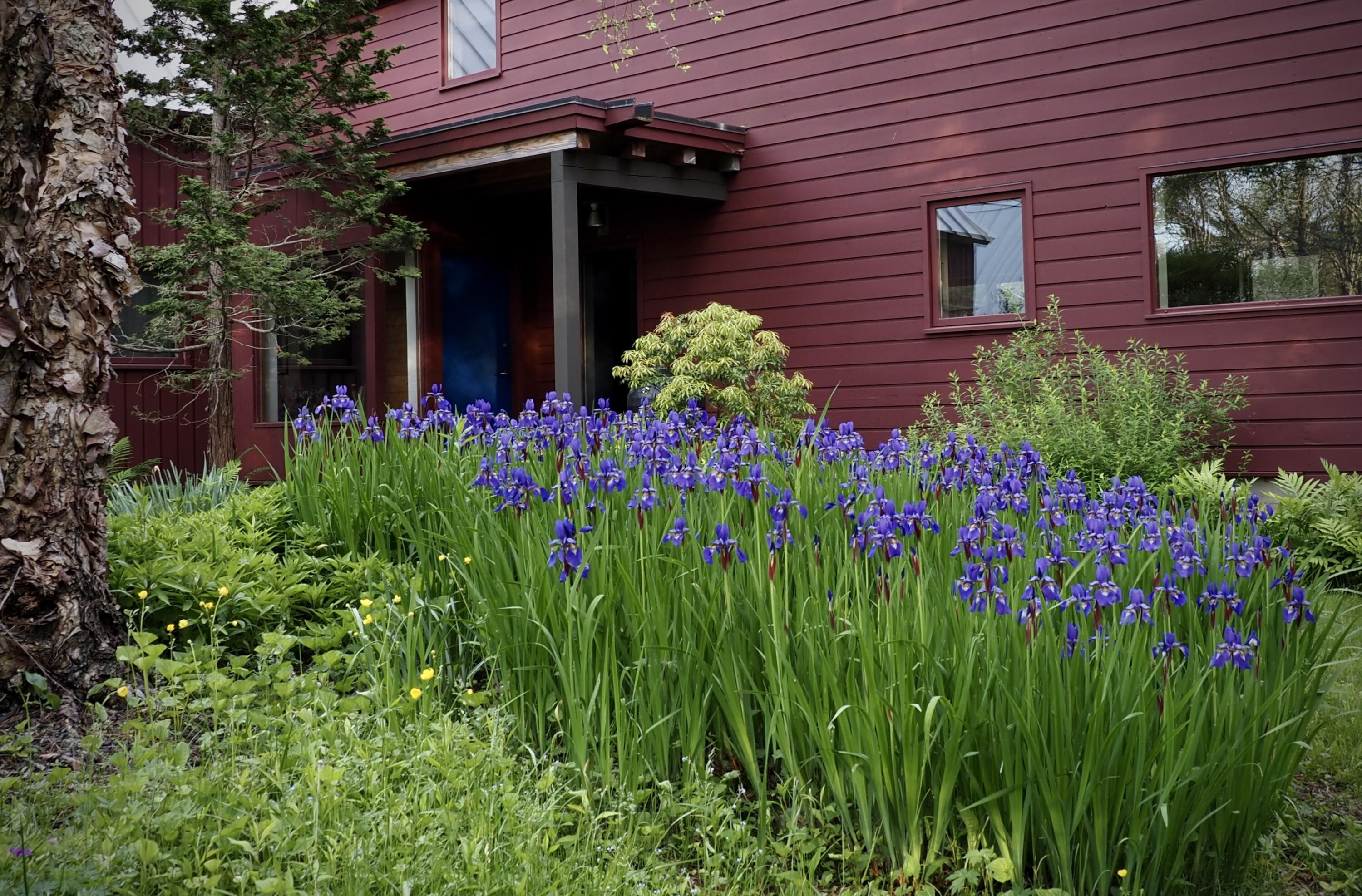 348 Bald Head Road Bath, ME 04530 - Photo 54 of 74 P6040144
