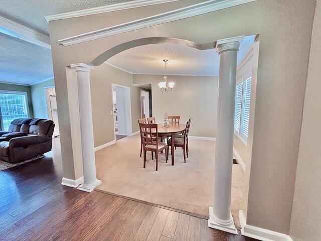7977 Raccoon Road Manning, SC 29102 - Photo 7 of 27