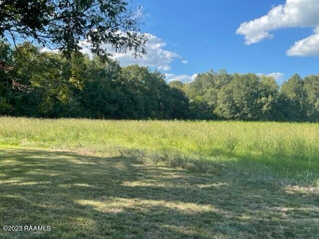 6596 Fusilier Road Maurice, LA 70555 - Photo 5 of 15 FUSD.jpg2