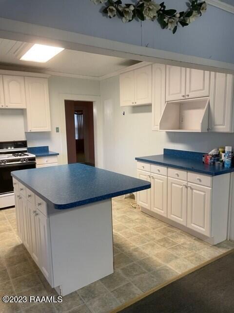 6596 Fusilier Road Maurice, LA 70555 - Photo 10 of 15 DFKIT2
