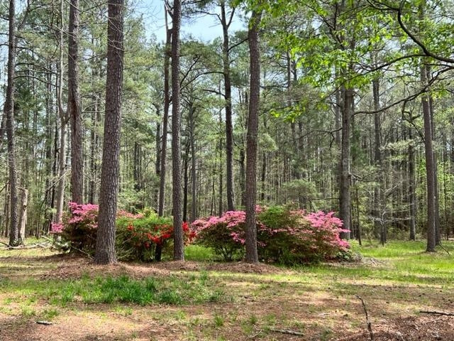 781 Winston Road Clayton, NC 27520 - Photo 2 of 4 Photo 2