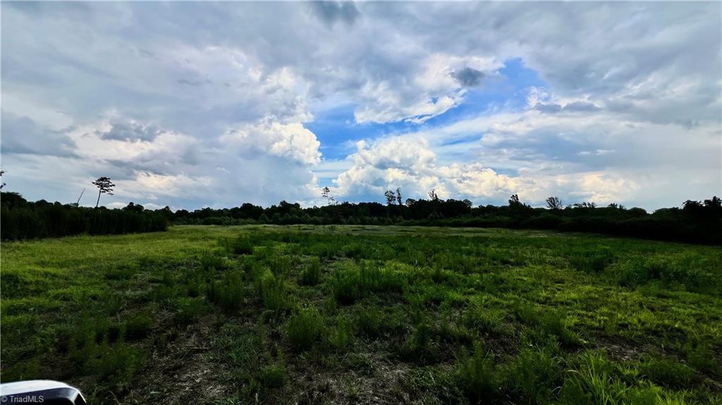 0 Teague Farm Road Seagrove, NC 27341 - Photo 12 of 27