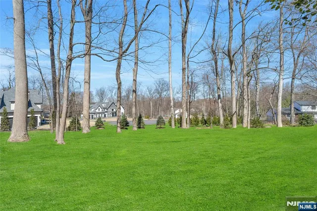 a view of a park with large trees