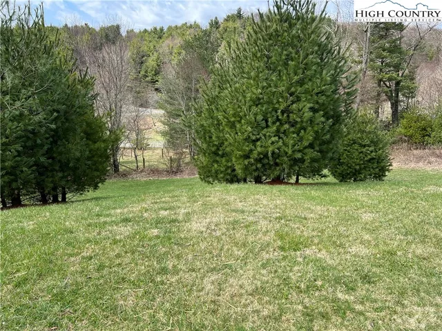 a view of a yard with a tree