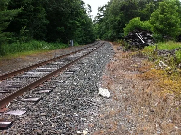 a view of a dry yard with wooden fence