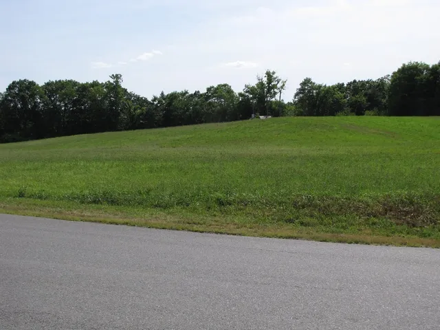 a view of a field with grass and trees
