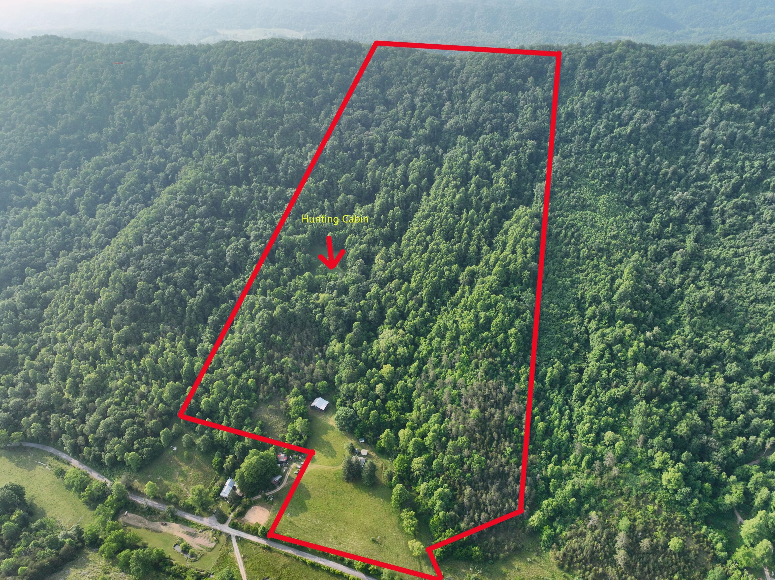 6180 Clinch Mountain Road Eidson, TN 37731 - Photo 1 of 51 50